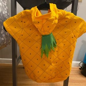Dog Halloween costume Pineapple